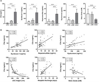 Dysregulated complement activation during acute myocardial infarction leads to endothelial glycocalyx degradation and endothelial dysfunction via the C5a:C5a-Receptor1 axis